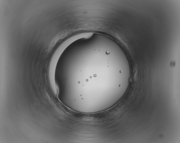 X0000111790685200908131413