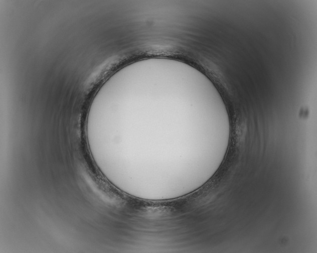 X0000111790686200908131413