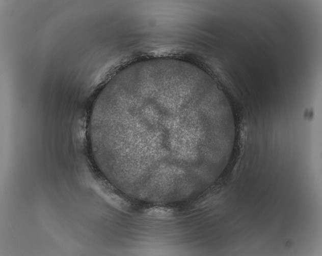 X0000111790691200908131412