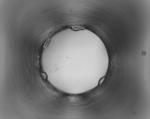 X0000111790693200908131412