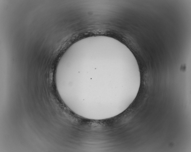 X0000111790697200908131412