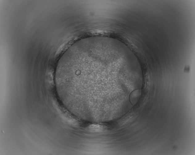 X0000111790699200908131412