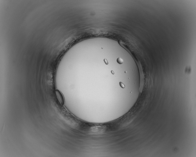 X0000111790700200908131412