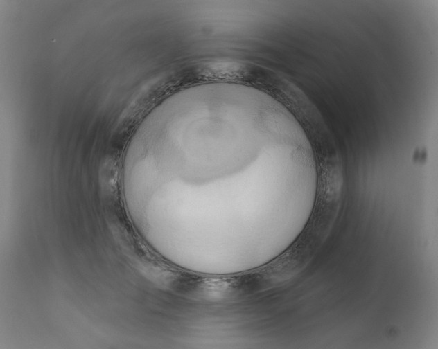 X0000111790701200908131412