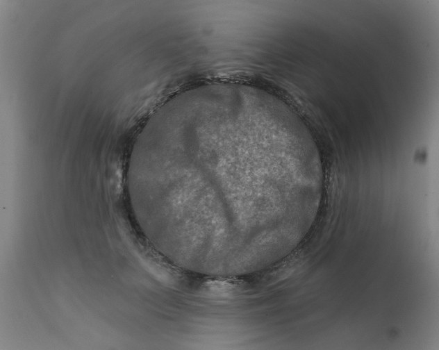 X0000111790703200908131412