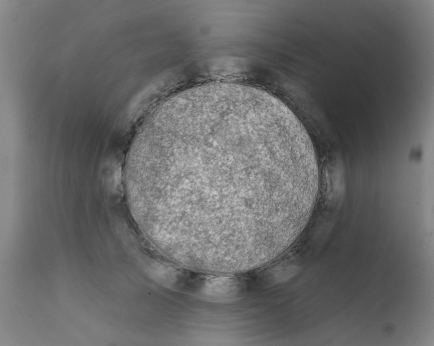 X0000111790705200908131412