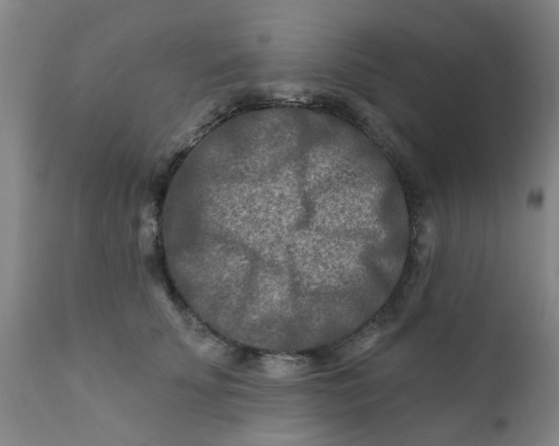 X0000111790707200908131412