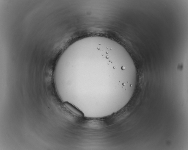 X0000111790708200908131412