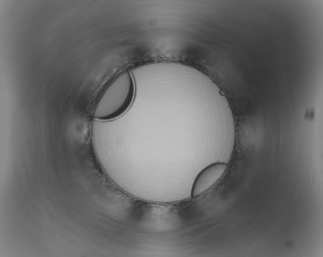 X0000111790709200908131412