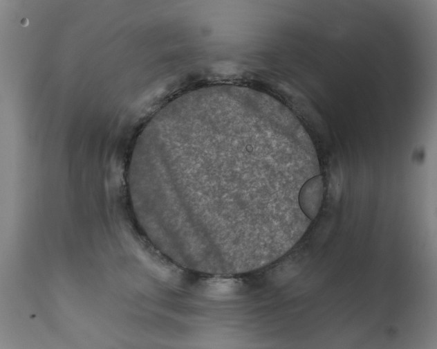 X0000111790711200908131412