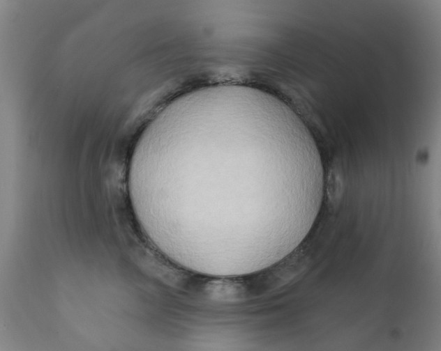 X0000111790714200908131412