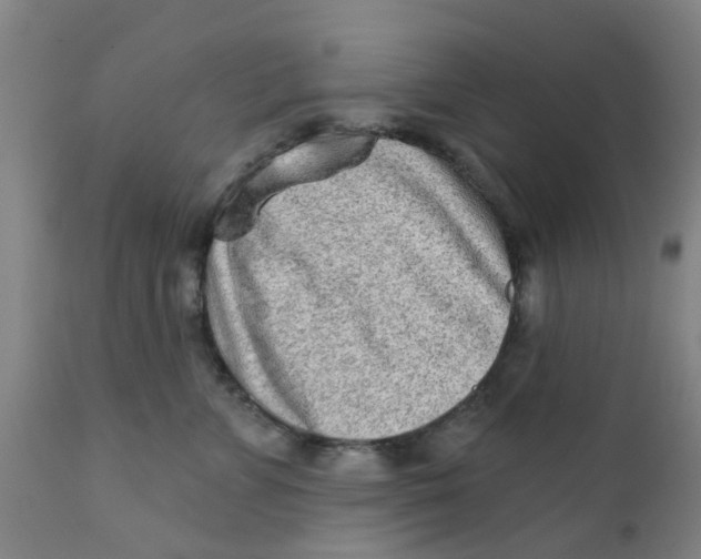 X0000111790715200908131412