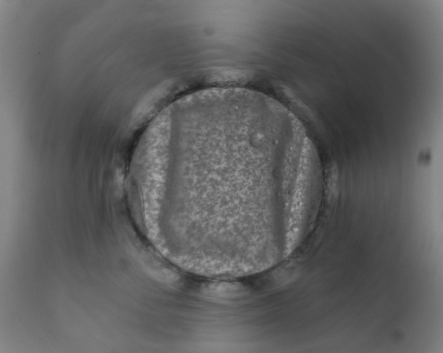 X0000111790716200908131412