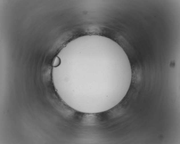 X0000111790717200908131412