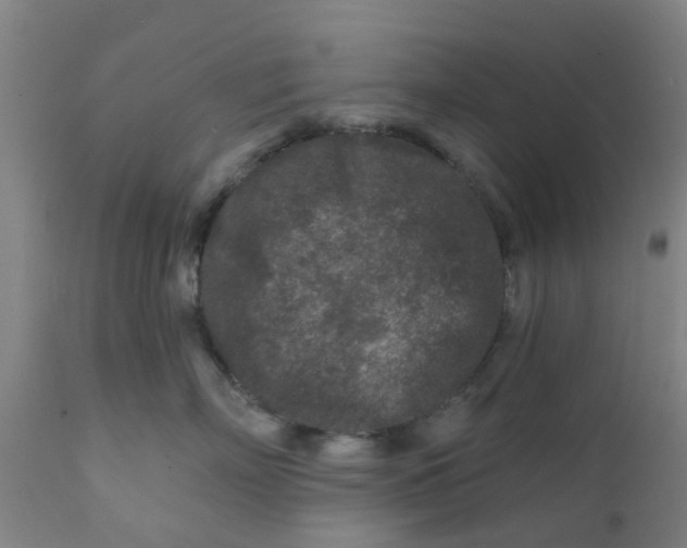 X0000111790718200908131412