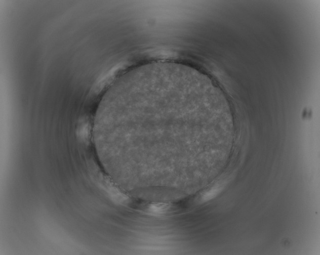 X0000111790720200908131412