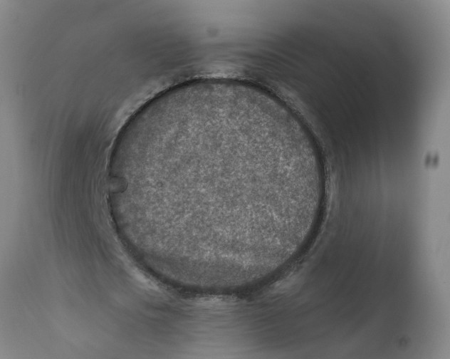 X0000111790721200908131411