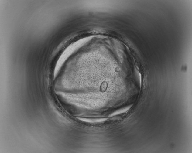 X0000111790722200908131411