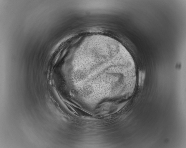 X0000111790723200908131411