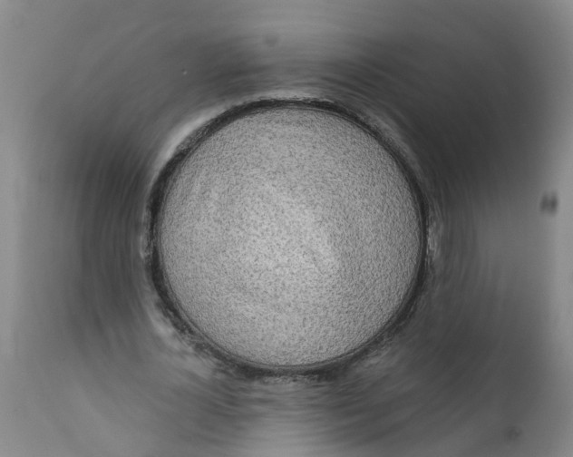 X0000111790724200908131411