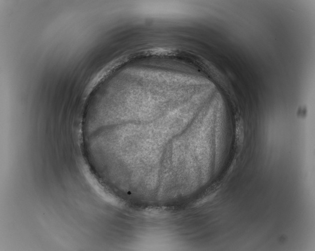 X0000111790725200908131411