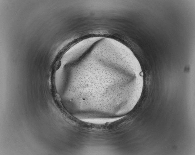 X0000111790727200908131411