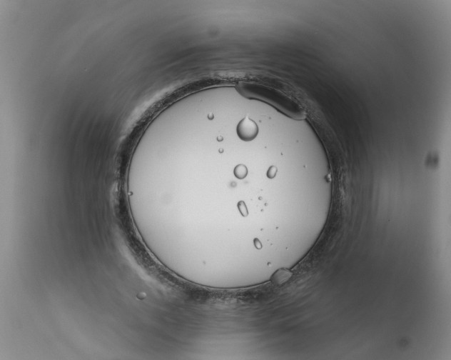 X0000111790728200908131411