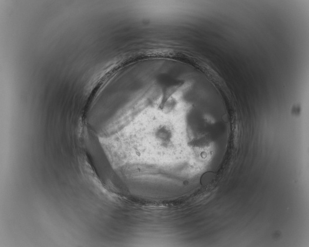 X0000111790729200908131411