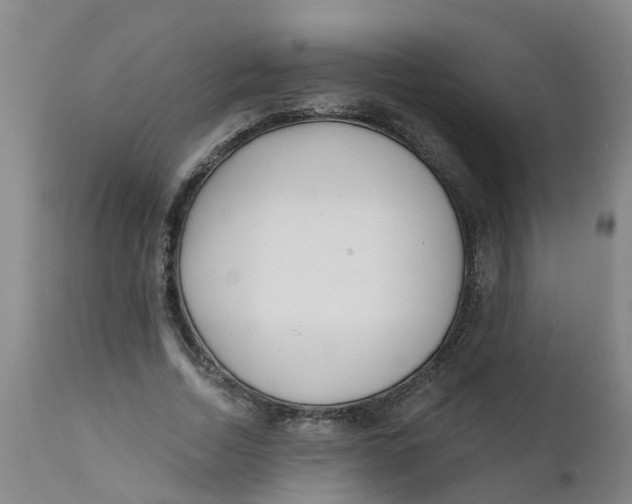 X0000111790730200908131411