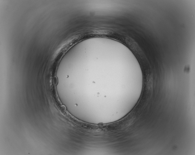 X0000111790731200908131411