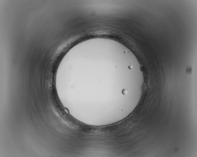 X0000111790732200908131411