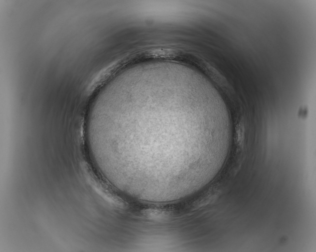 X0000111790733200908131411