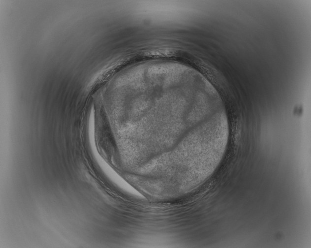 X0000111790735200908131411