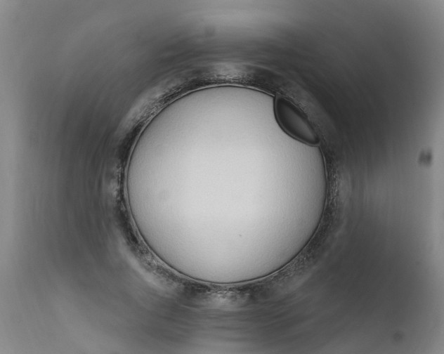 X0000111790736200908131412