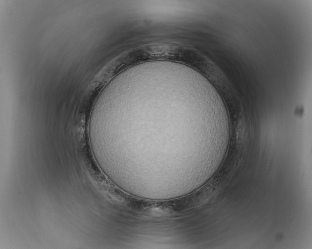 X0000111790737200908131412