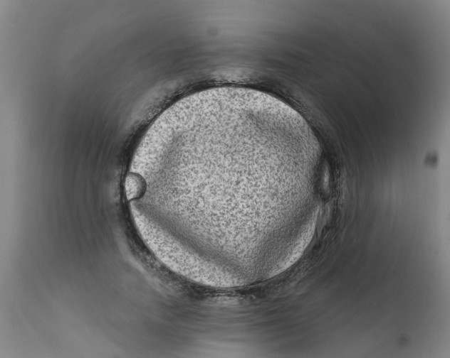 X0000111790738200908131412