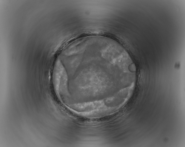 X0000111790739200908131412