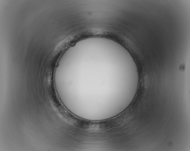 X0000111790740200908131412