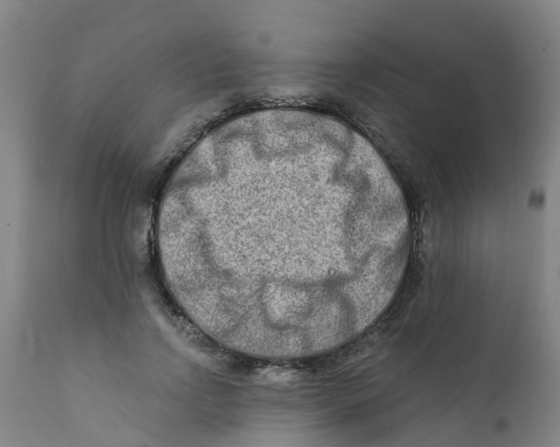 X0000111790742200908131412