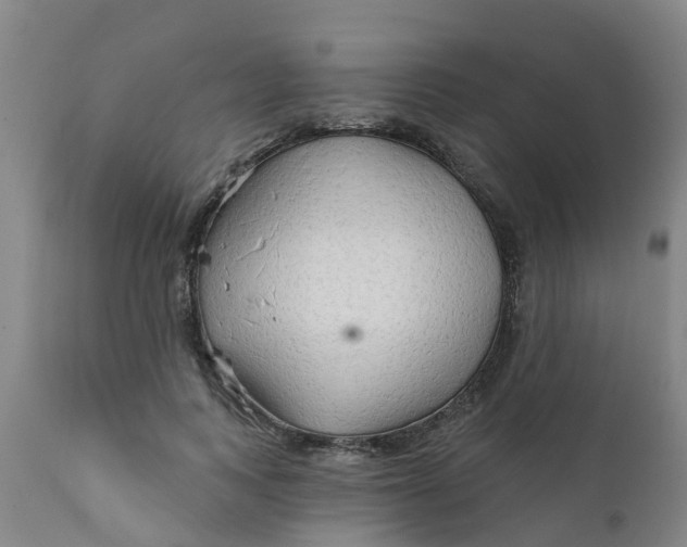 X0000111790743200908131412