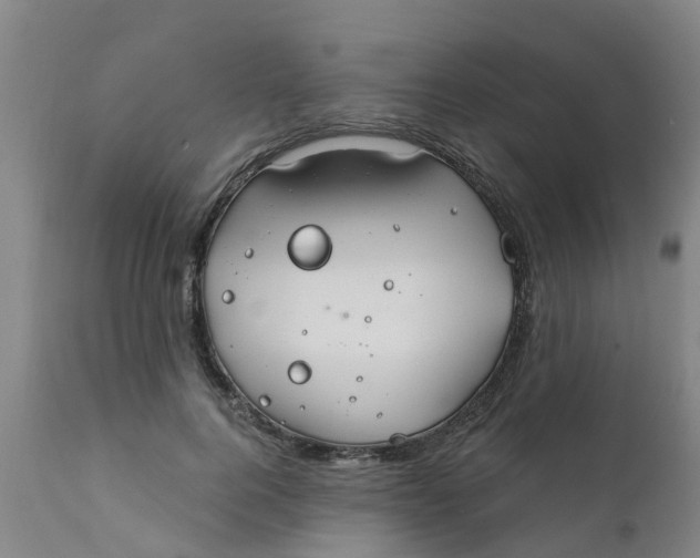 X0000111790744200908131412