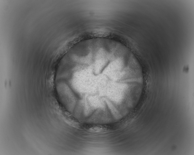 X0000111790745200908131412