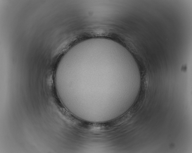 X0000111790746200908131412