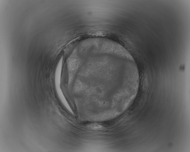 X0000111790747200908131412