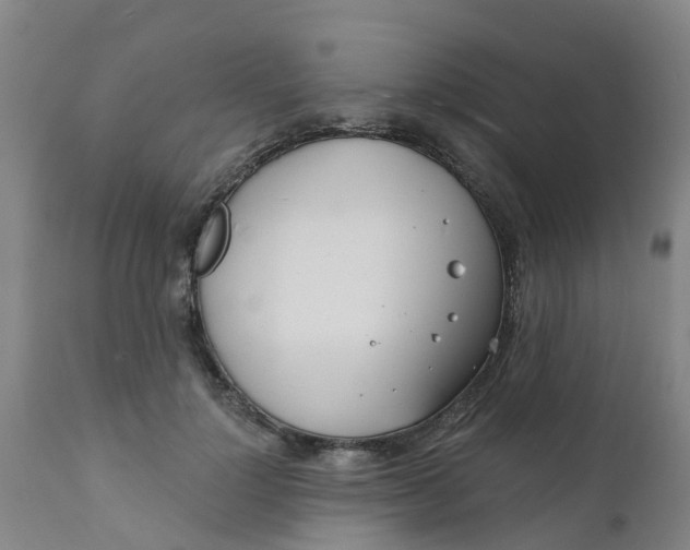 X0000111790748200908131412