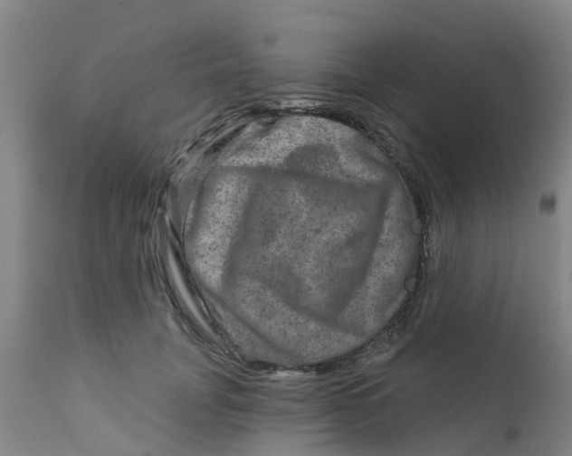 X0000111790751200908131412