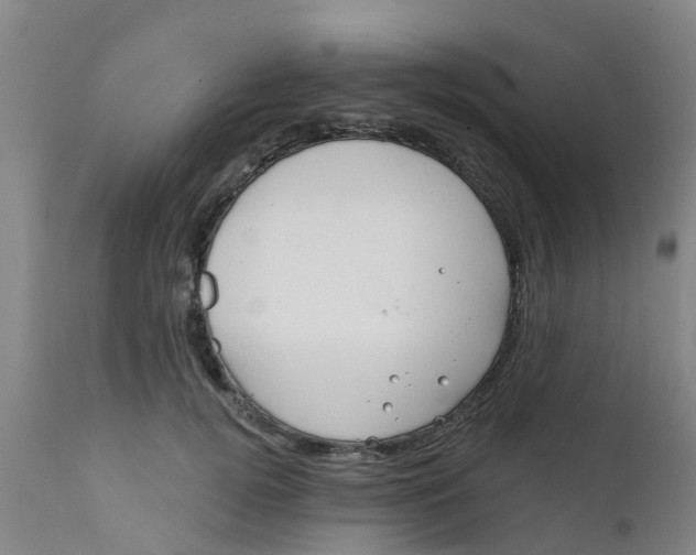 X0000111790752200908131412