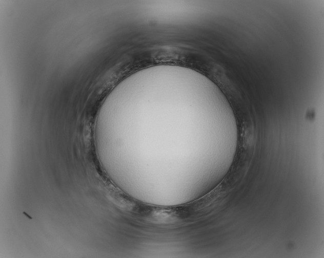 X0000111790753200908131412