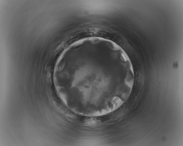 X0000111790754200908131412