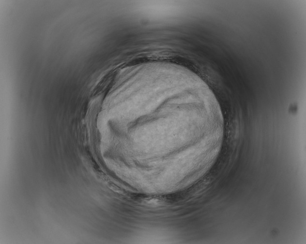 X0000111790755200908131412